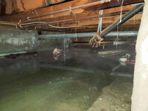 Best Water damage restoration near me  in Blossburg, PA