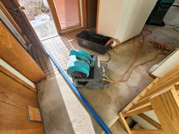 Best Water damage contractors near me  in Blossburg, PA