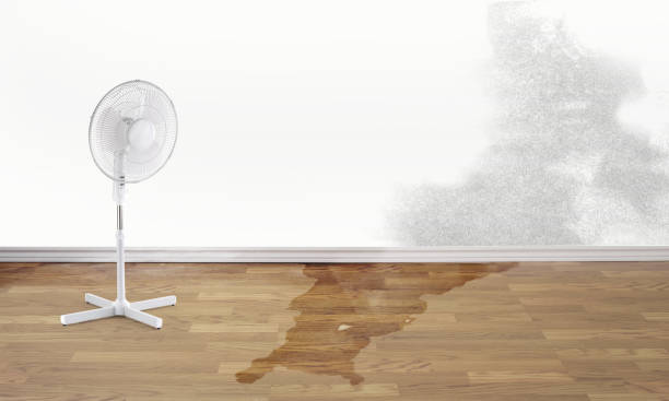 Best Fire Damage Restoration  in Blossburg, PA