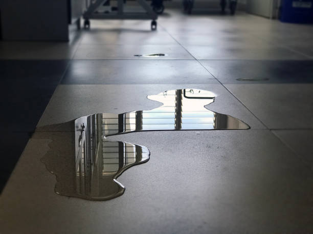 Best 24-hour water damage restoration  in Blossburg, PA