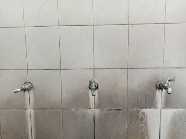 Best 24/7 water damage repair  in Blossburg, PA