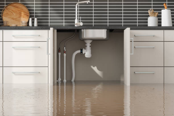 Best Carpet water damage restoration  in Blossburg, PA